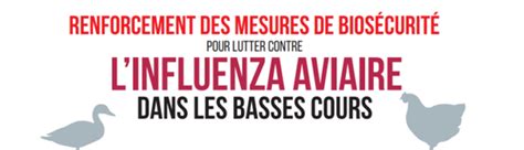 You are currently viewing Influenza aviaire